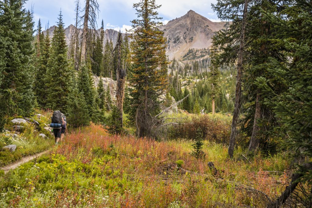 paintbrush divide backpacking permit