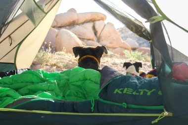 10 Tips for Camping with your BFF (Best Furry Friend)